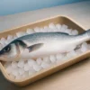 Emballage poissonnerie écologique : innovation bio résistante à l’humidité